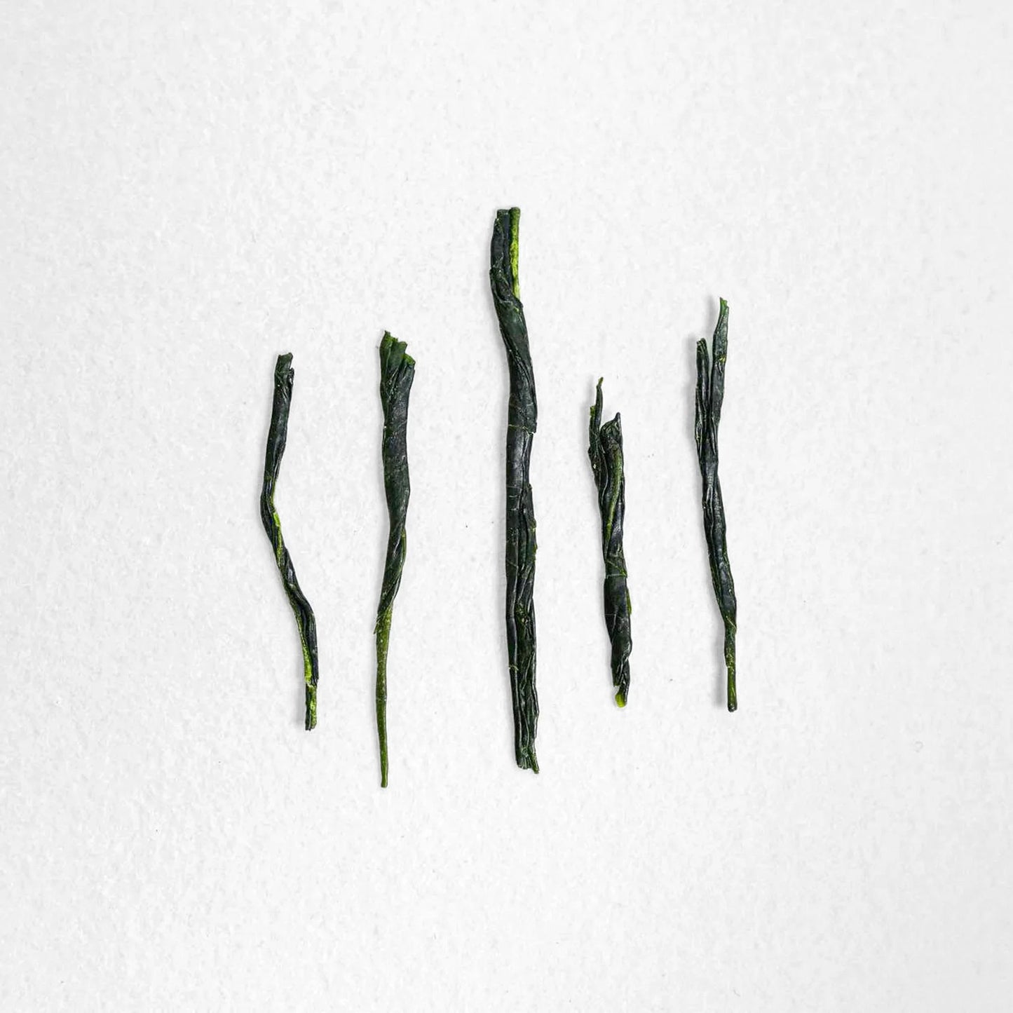 SENCHA ⫸ 🇯🇵JPN